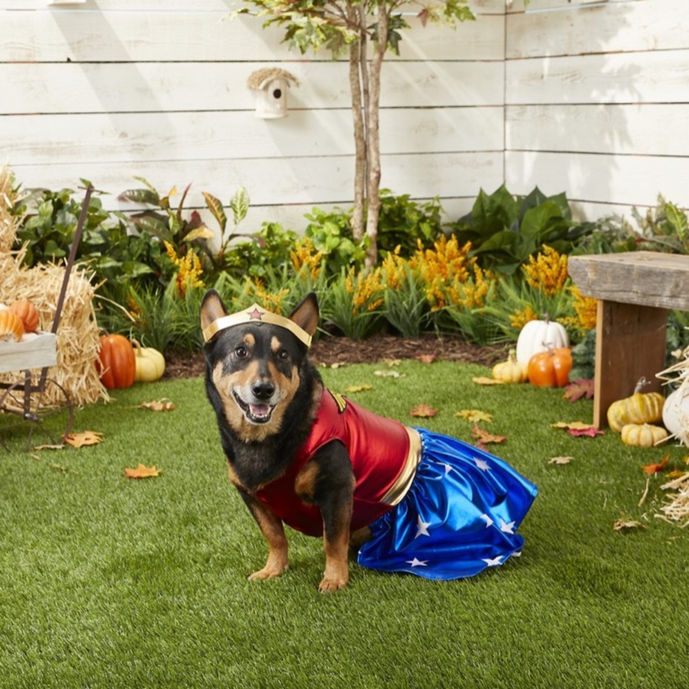 NWT Wonder Woman Dog Costume - Large